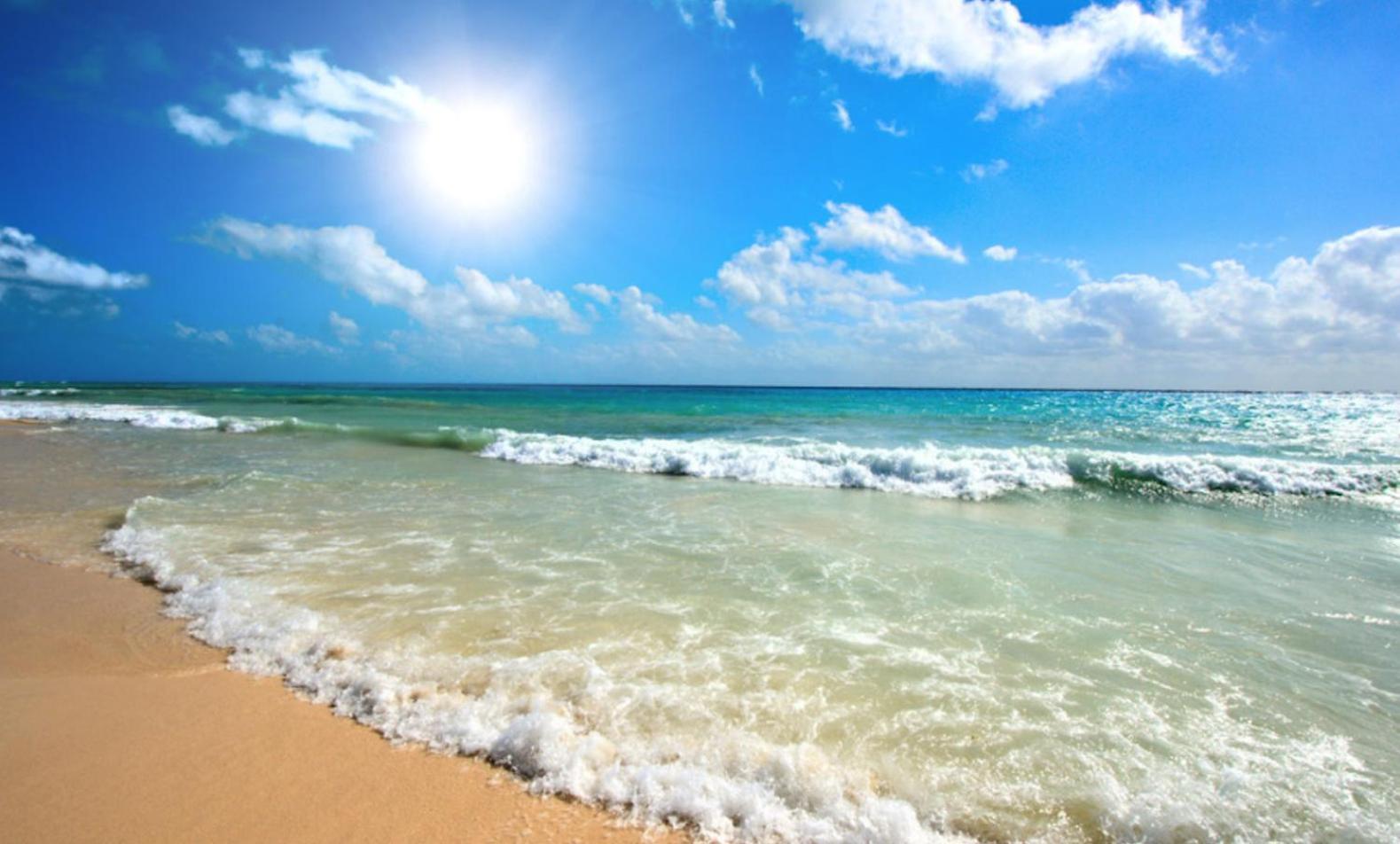 Sunny Beach Plaza 17 Apartment מראה חיצוני תמונה